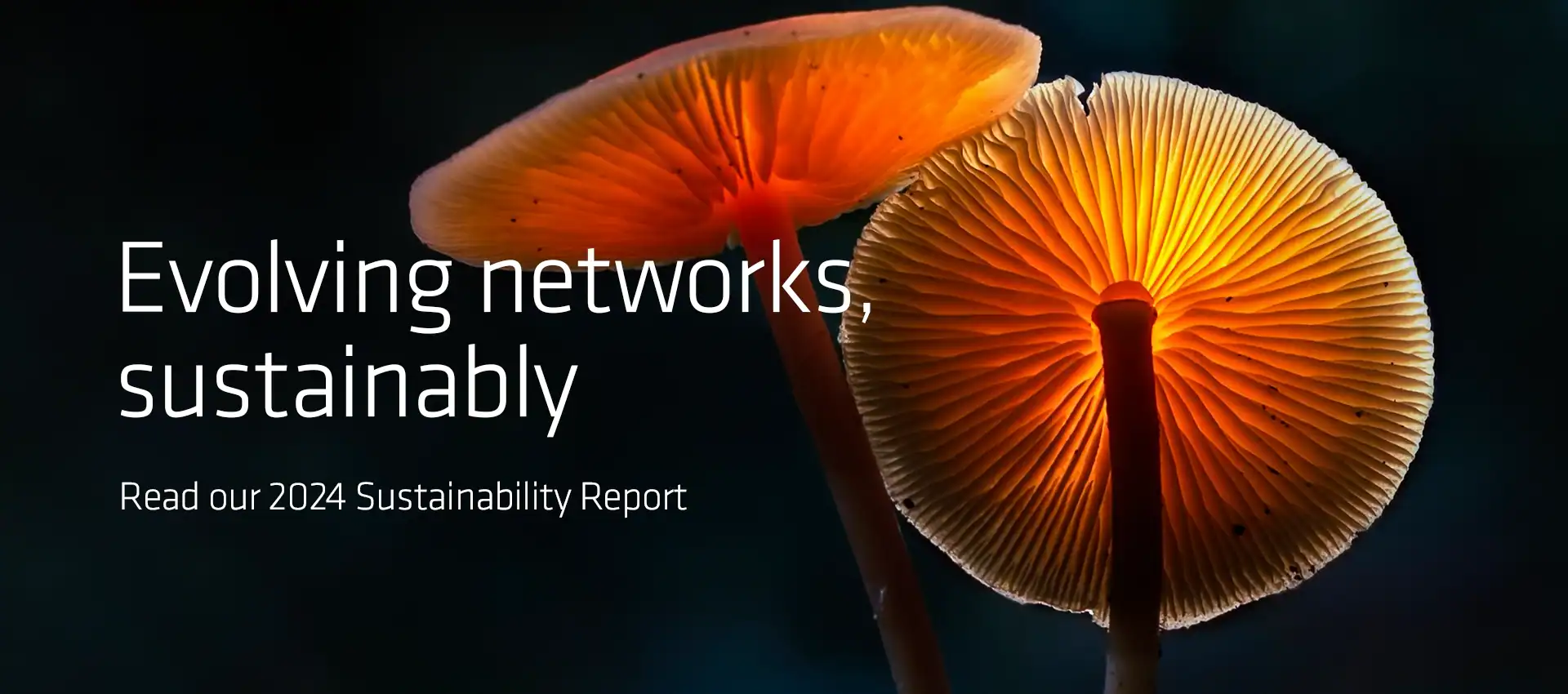 Technetix sustainability report