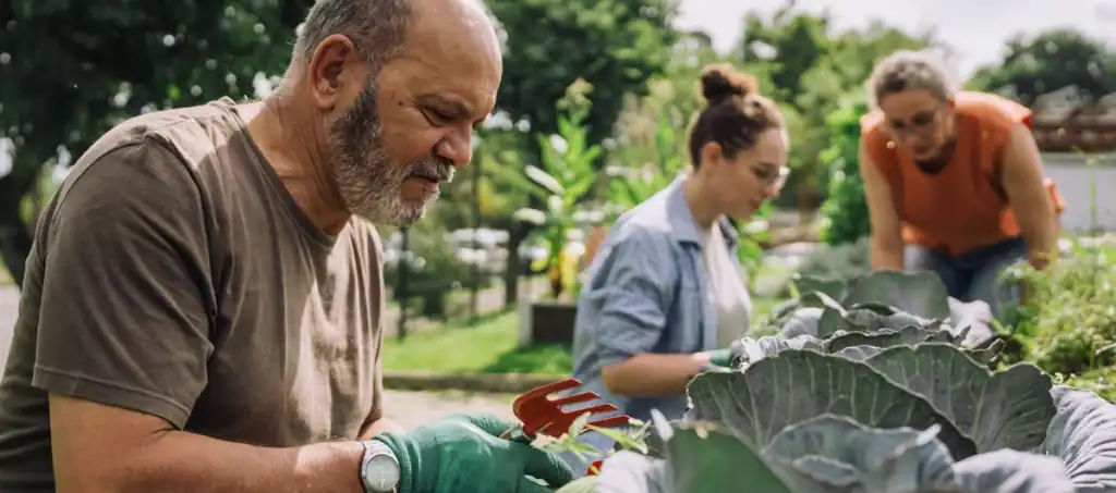 People and Communities banner